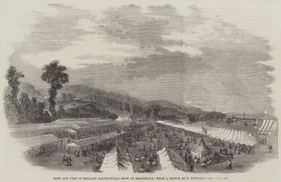 Mostra agricola di Bath e West of England a Barnstaple da George Townsend